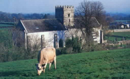 St. Laserian's