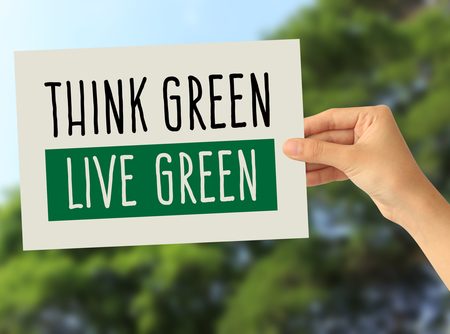 Report from Green Conference in Kilkenny College