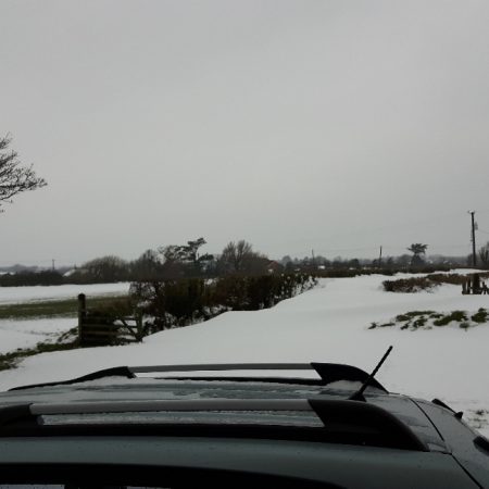 Snow Sunday