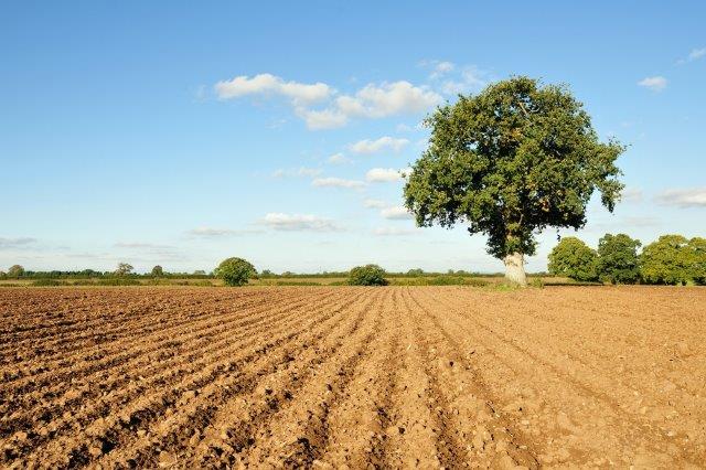 Ploughed ground